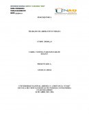 FISICOQUIMICA TRABAJO COLABORATIVO UNIDAD 3