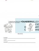 Cuadernillos de ejercicios de Matemática Santillana.