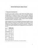 Informe final Proyecto Charqui Cancan