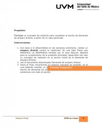 Concepto de violacion amparo directo. Página 1