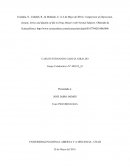 TRABAJO FINAL - ENSAYO INDIVIDUAL