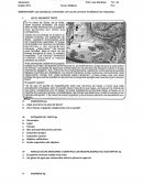 LENGUA Y LITERATURA CASTELLANA.