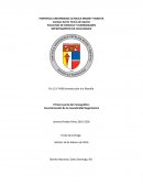 Filosofia pura. Introducción a la filosofía.