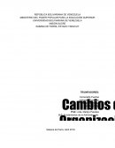 Fundamentos de la Administración. CAMBIOS DE ORGANIZACION