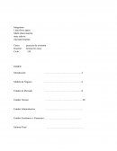 Proyecto de inversion de polos de algodon