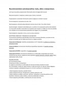 Neurotransmision somatosensitiva