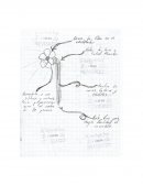 Proyecto innovador- Desarrollo de proyecto