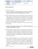 Casos prácticos. Liderazgo en grupo