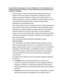 ¿De qué forma los principios se ven mejor reflejados en un comité paritario o en un comité de emergencias?