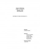 DESARROLLO DEL INFORME PESTAL