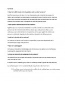 Cual es la diferencia entre la palabra valor y valor humano?