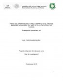 ÍNDICE DEL SÍNDROME DEL TUNEL CARPIANO EN EL ÁREA DE INGNIERÍA INDUSTRIAL DEL INSTITUTO TECNOLÓGICO DE TIJUANA.