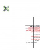 PROYECTO DE INVESTIGACION. Marco teórico preliminar