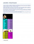 LECHES VEGETALES