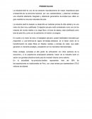 Contitucion de la empresa textil ICATEX