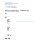 Planeacion financiera.