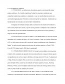 LA UNIVERSIDAD: ORIGEN