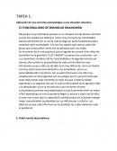 EL FUNCIONALISMO DE BRANISLAO MALINOWSKI