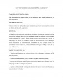 Los videojuegos y el desempeño academico Problema de investigación