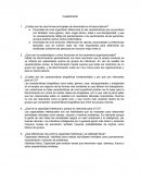 ¿Cuáles son las dos formas principales de diversidad en la fuerza laboral?