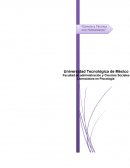 Conclusiones (observaciones de fortalezas y retos)