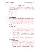 PLAN DE ACCIÓN GRUPAL