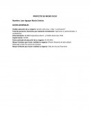 Proyecto de medio ciclo emprendimiento