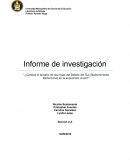 Cambia el tamaño de las hojas del Belloto del Sur (Beilschmiedia Berteroana) en la exposición al sol?"