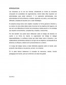 Directivo en una empresa