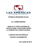 EL NUEVO SISTEMA DE JUSTICIA PENAL ACUSATORIO DESDE LA PERSPECTIVA CONSTITUCIONAL