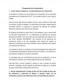 Perspectiva de la enfermeria