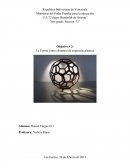 La forma como elemento de expresión plástica