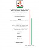 PLAN ESTRATÉGICO CASO TRANSMARINA C.A.