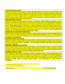 Ejemplos de evaluacion