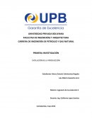 Evolucion de la produccion.