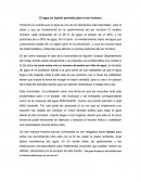 El agua un líquido preciado para el ser humano