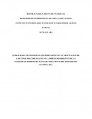 ESTRATEGIAS TECNOLOGICAS QUE FORTALEZCAN LA CAPACITACION DE LOS CONSEJOS COMUNALES EN EL AMBITO INFORMATICO DE LA COMUNIDAD PRIMERO DE MAYO SECTOR I, MUNICIPIO JIMENRZ DEL ESTADO LARA.