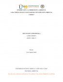 CARACTERIZACION DE UN ESCENARIO DE CONTAMINACION AMBIENTAL