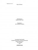 Facultad de Economía y Comercio Internacional Electiva Internacional I