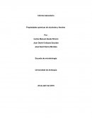 Informe de alcoholes