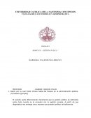 Razón por la cual Public Choice habla del fracaso en la administración pública. (Considere Ejemplos)