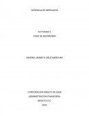 Cuáles han sido los factores de éxito de Anheuser-Busch?