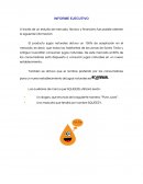 Proyectos de inenieria