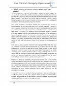 ¿Qué tipo de alianzas y exportaciones aconsejarías? Explica el porqué de tu respuesta