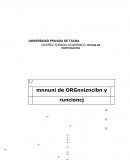 Manual de Organizacion y Funciones.