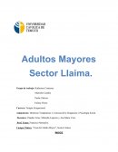 Campo Clínico: “Casa del Adulto Mayor”, Sector Llaima.