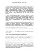 GERENCIA FINANCIERA.