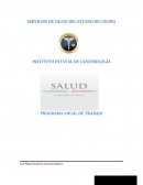 SERVICIOS DE SALUD DEL ESTADO DE COLIMA INSTITUTO ESTATAL DE CANCEROLOGÍA
