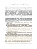 PRIMERA ENTREGA SECTOR ESTRATEGICO