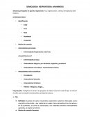 Semiologia Respiratoria.